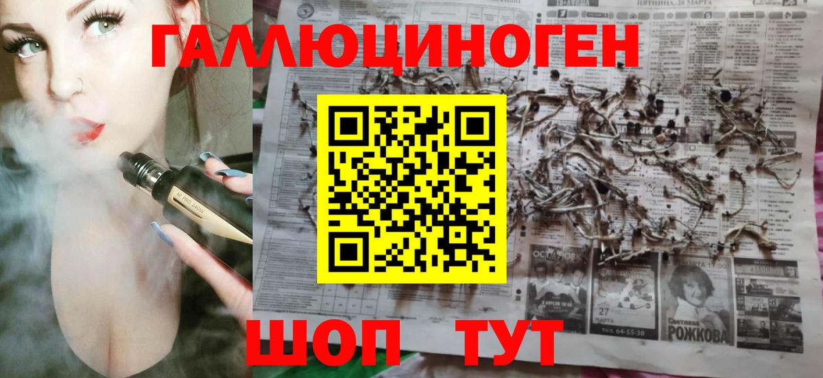 Галлюциногенные грибы GOLDEN TEACHER  Галлюциногенные грибы Psilocybine cubensis  Вичуга  Вход с VPN 
